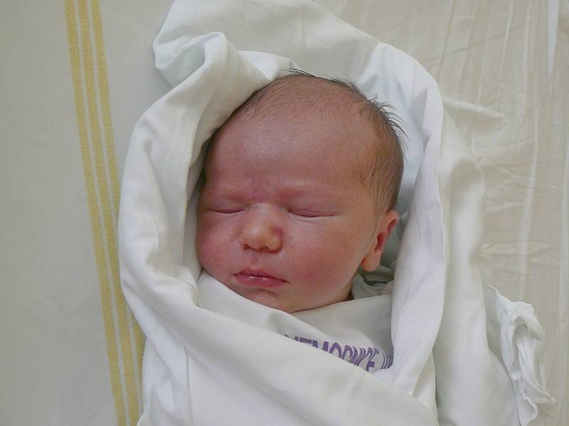  David Volek, 48 cm, 3265 g, 30. října 2013, Vyškov, Nemocnice Vyškov