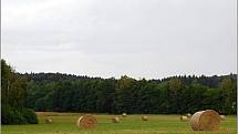 Příroda v okolí Vyškova a Drahanské vrchoviny na vrcholu léta.