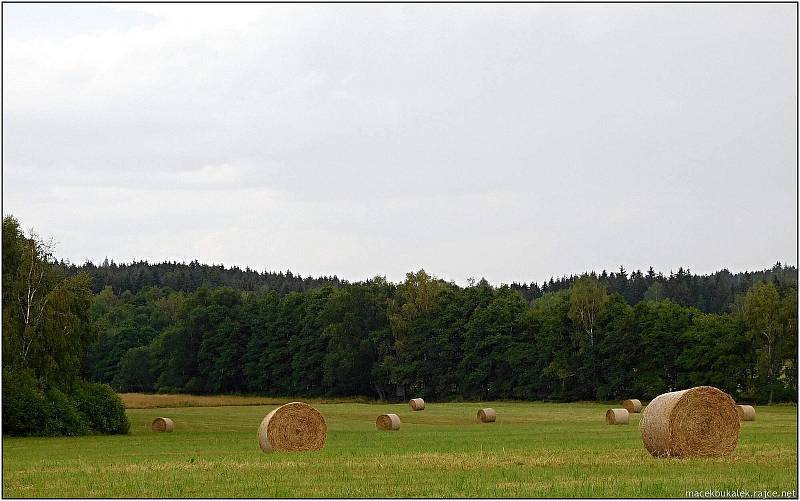 Příroda v okolí Vyškova a Drahanské vrchoviny na vrcholu léta.