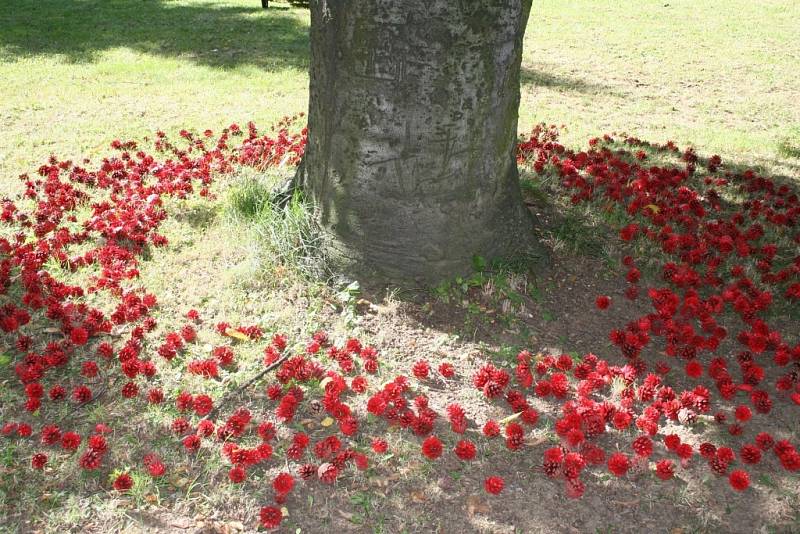 Land Art v Drnovicích