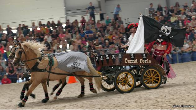 Poslední zářijový víkend se konal osmadvacátý ročník nejstarší středoevropské výstavy koní v Lysé nad Labem.