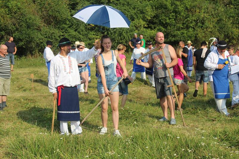 Sečení kloboučských otav 2018.