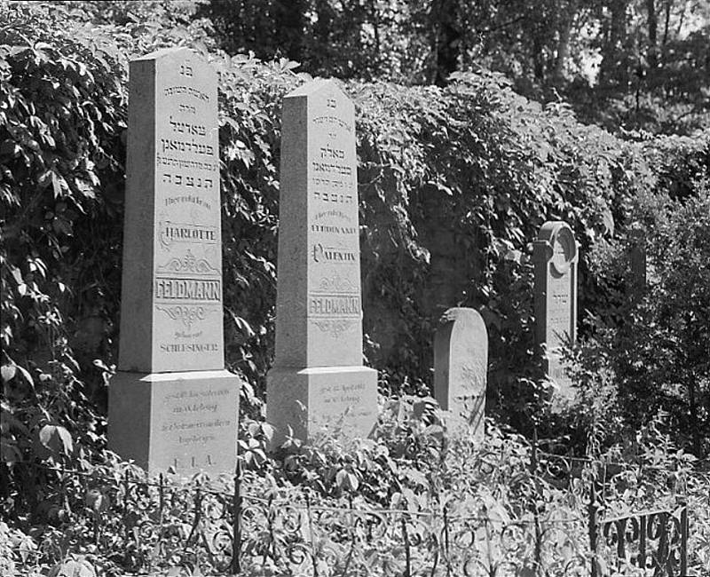 Nostalgická atmosféra židovského hřbitova ve vyškovské čtvrti Marchanice