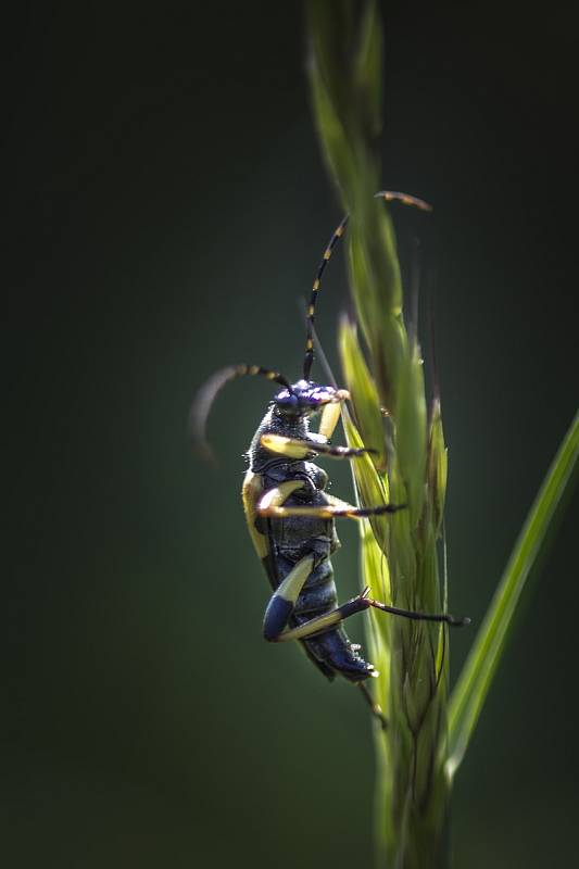 Nadšený fotograf pořídil působivé snímky v okolí Vyškova.