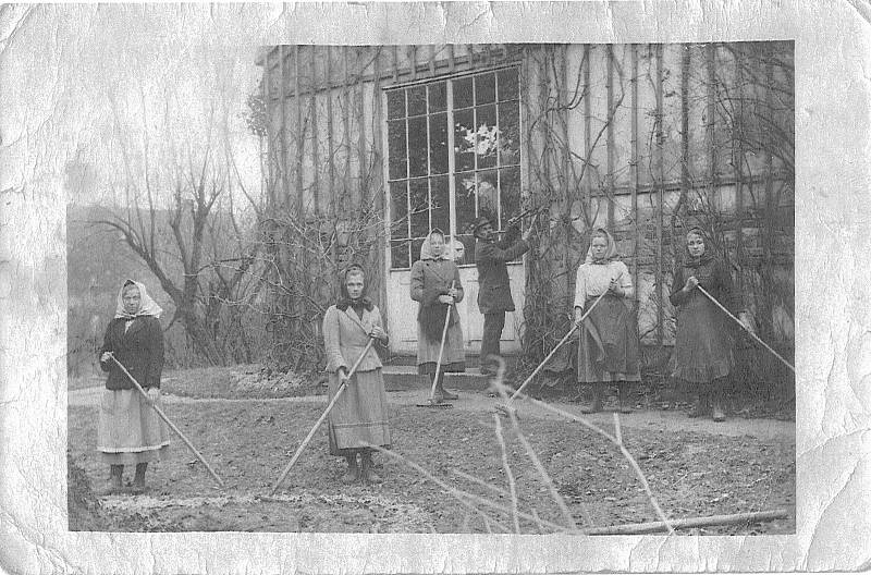 Zámecká oranžerie v Habrovanech na archivní fotografii. Foto: se souhlasem provozovatelů