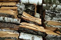 Vojenské lesy snížily cenu palivového dřeva o čtvrtinu. Na snímku jsou polena břízy.