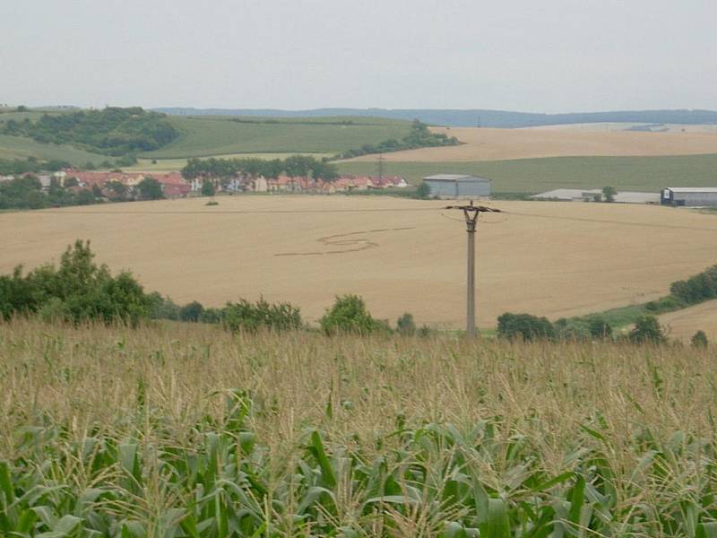 Pole u Velešovic na Vyškovsku.