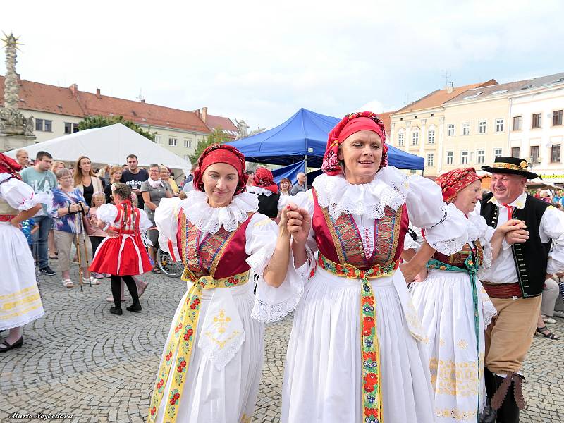 Jihomoravské dožínky se ve Vyškově konaly znovu po čtrnácti letech.