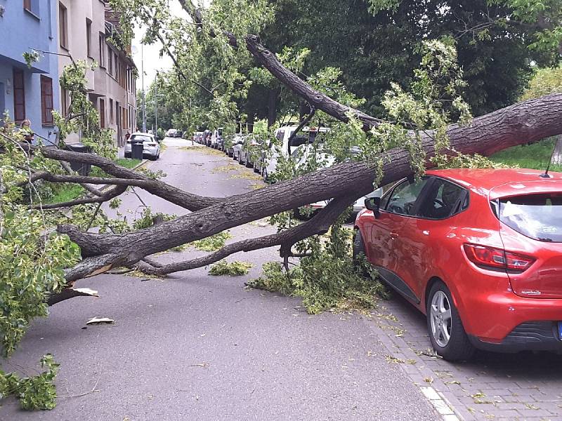 Na jižní Moravě odstraňují hasiči v sobotu večer především popadané stromy.