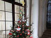 Na žáku ve Slavkově u Brna mají novu výstavu. Ukazují vánoční stromky.