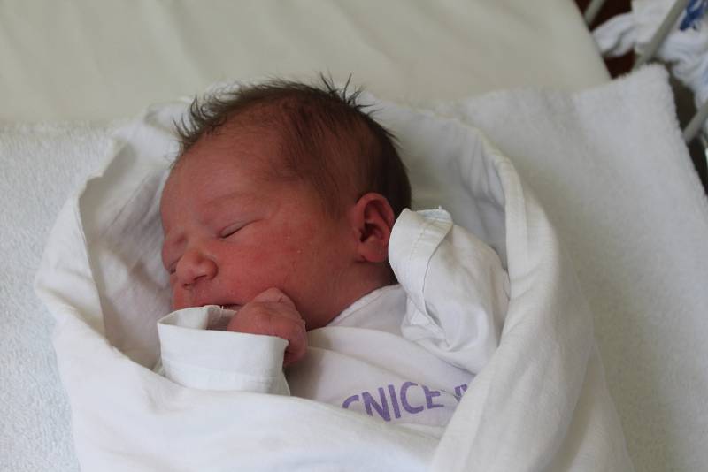 Sofie Horáková, 48 cm, 2 730 g, 4. srpna 2016, Račice-Pístovice, Nemocnice Vyškov.