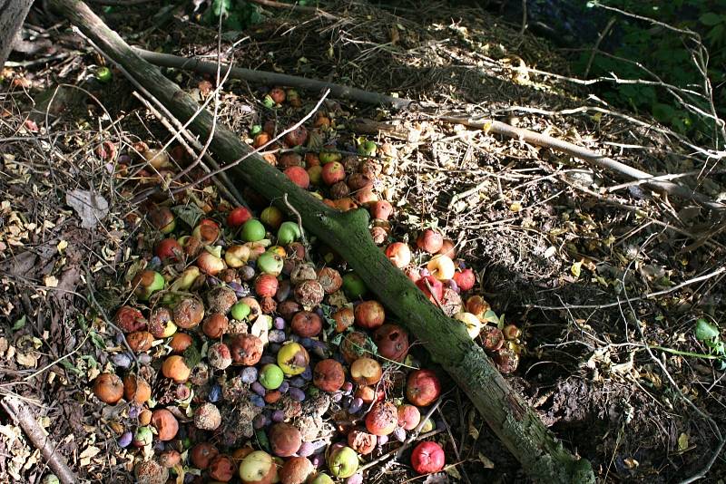 Množství odpadků lemuje břeh řeky Hané u polní cesty z vyškovské místní části Dědice do Opatovic.