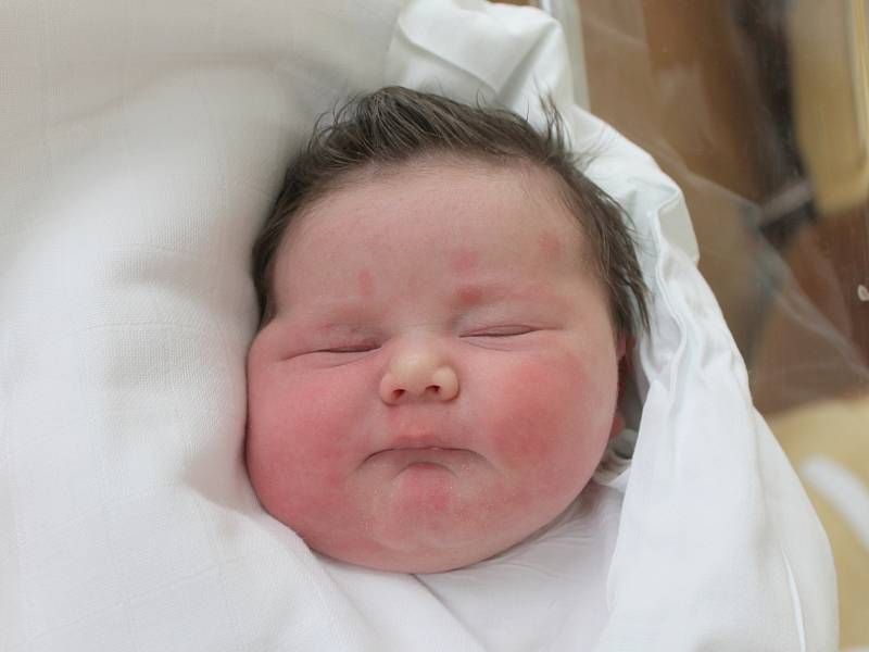 Eliška Hanáková, 54 cm, 4 680 g, 27. 4. 2017, Vyškov, Nemocnice Vyškov.