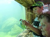 Vyškovský zoopark otevřel novou expozici. Návštěvníci se díky ní seznámí s životem ryb.