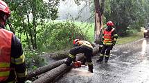 Na jižní Moravě odstraňují hasiči v sobotu večer především popadané stromy.