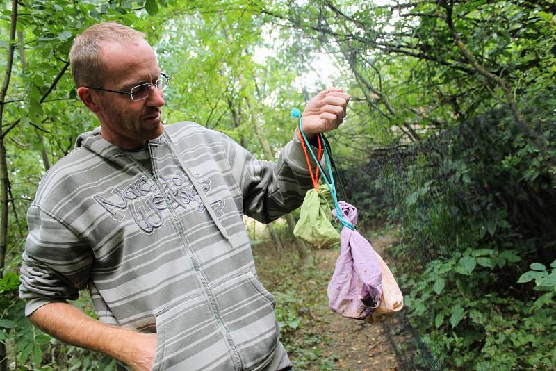 Kroužkování umožní identifikaci každého ptačího jedince po celou dobu jeho života. U rousínovského Kroužku jich ornitologové nakonec odchytli třiasedmdesát.