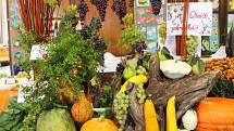 Jubilejní desátou oblastní výstavu ovoce a zeleniny ve Slavkově u Brna aranžoval mistr republiky ve floristice.