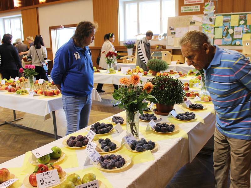 Jubilejní desátou oblastní výstavu ovoce a zeleniny ve Slavkově u Brna aranžoval mistr republiky ve floristice.