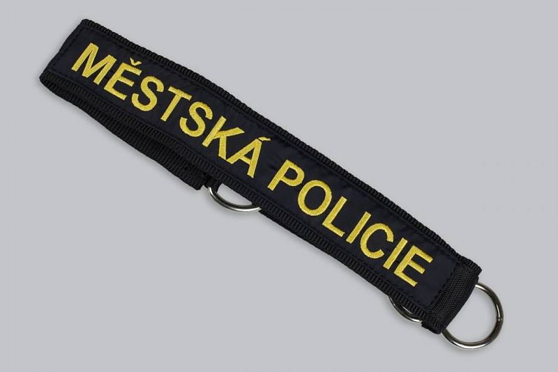 Městská policie ve Slavkově. Ilustrační foto.