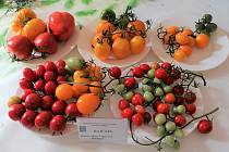 Šestnáctou oblastní výstavu ovoce a zeleniny navštíví zájemci o víkendu.
