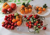Šestnáctou oblastní výstavu ovoce a zeleniny navštíví zájemci o víkendu.