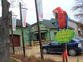 Největší novinkou, kterou pro letošní sezonu připravila Papouščí zoologická zahrada v Bošovicích, je nový pavilon amazoňanů. Jeho otevření je na programu v sobotu ve dvě hodiny.