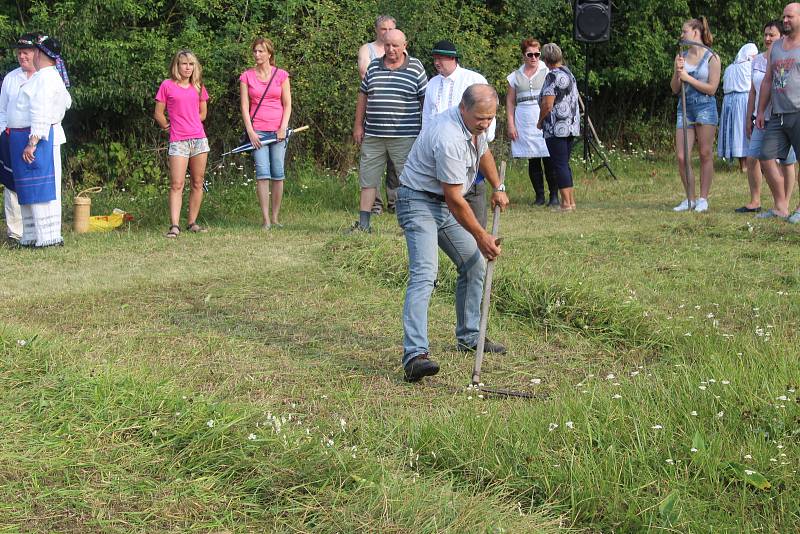 Sečení kloboučských otav 2018.