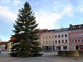 Vánočním stromem byla v roce 2019 ve Vyškově jedle.
