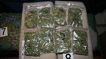 Čtyřiačtyřicetiletý muž z Lovčiček ve svém bytě pěstoval marihuanu.