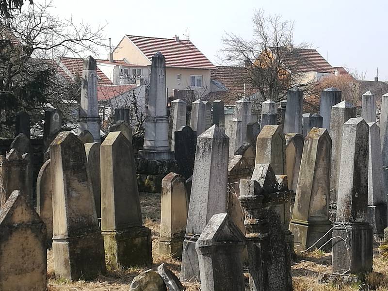 Židovský hřbitov v Rousínově.