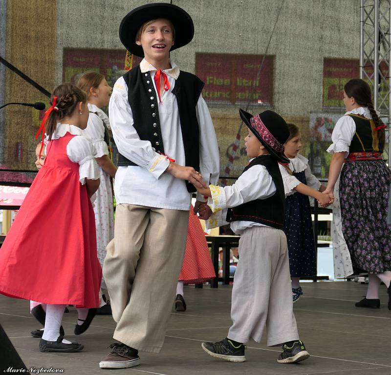 Jihomoravské dožínky se ve Vyškově konaly znovu po čtrnácti letech.