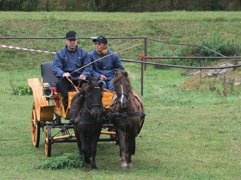 Na prvním ročníku Vozatajských závodů v Lovčičkách závodili koně v různých disciplínách.