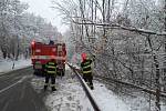 Popadané stromy a dopravní nehody v souvislosti se sněhem zaměstnaly hasiče zejména v pátek v noci a v sobotu.