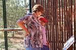 Pavilon Austrálie s trojicí klokanů a čtyřmi stovkami andulek je nově přístupný návštěvníkům vyškovského zooparku.
