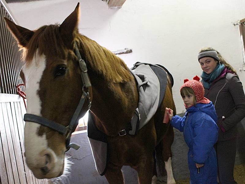 Vánoční nadílka ve stáji pořádaná vyškovským Sdružením Piafa nebyla jen o koních. Spoustu zábavy si při ní užily i děti.