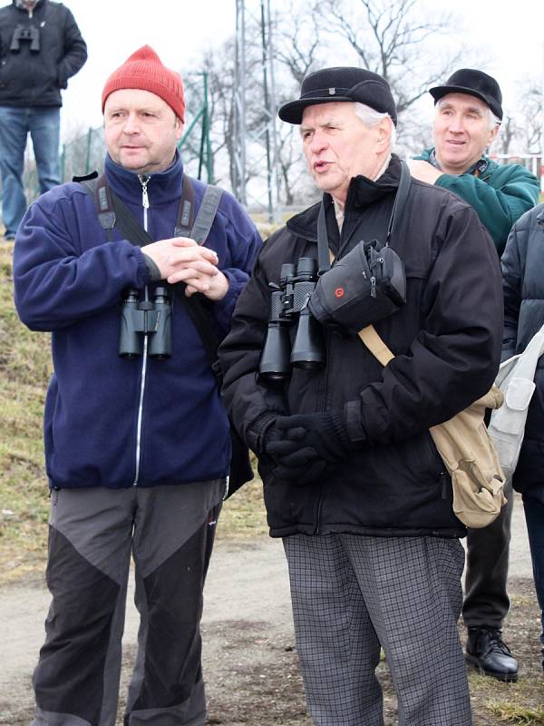 Vycházka ke slavkovskému mokřadu Třináct jezer přilákala přes 50 nadšenců. Chřástala nakonec nezpozoravali. K vidění však byl sokol, ledňáček a další druhy ptactva.