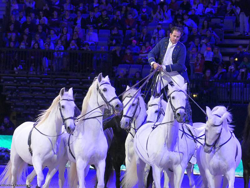 V Praze se představili nejlepší parkuroví jezdci a koně světa