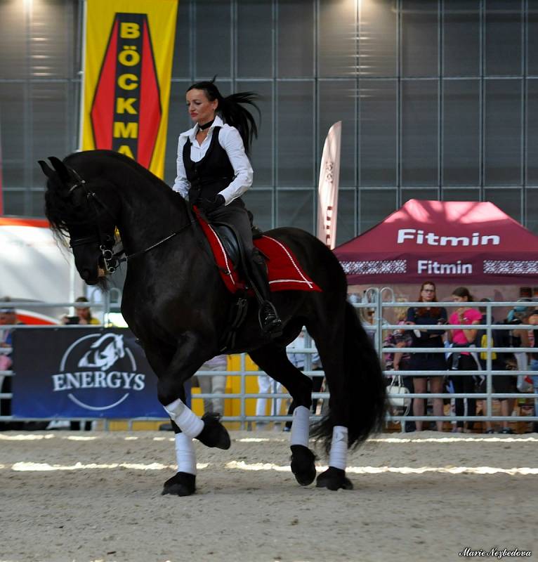 Ve dnech 5. až 8. září se na Brněnském výstavišti konal veletrh Animal Tech a současně Národní výstava hospodářských zvířat.