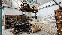 Kdysi funkční tovární hala plná tkacích strojů se postupně proměnila v kapradinovou džungli.