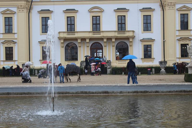 Hubertova jízda na slavkovském zámku.