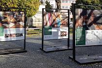 Až do třiadvacátého listopadu najdou zájemci na Masarykově náměstí ve Vyškově putovní výstavu u příležitosti třicátého výročí založení české pobočky ADRA.