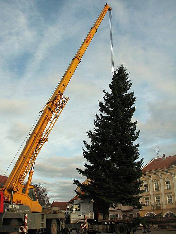 Vztyčování vánoční jedle na vyškovském náměstí.