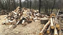 I když to při pohledu na lesy zasažené kůrovcem vypadá, že by dřeva měla být k dispozici spousta, není tomu tak