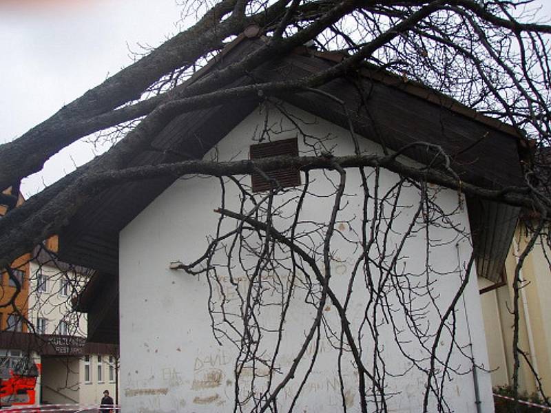 Likvidace spadlého stromu ve Staříči pomocí jeřábu.
