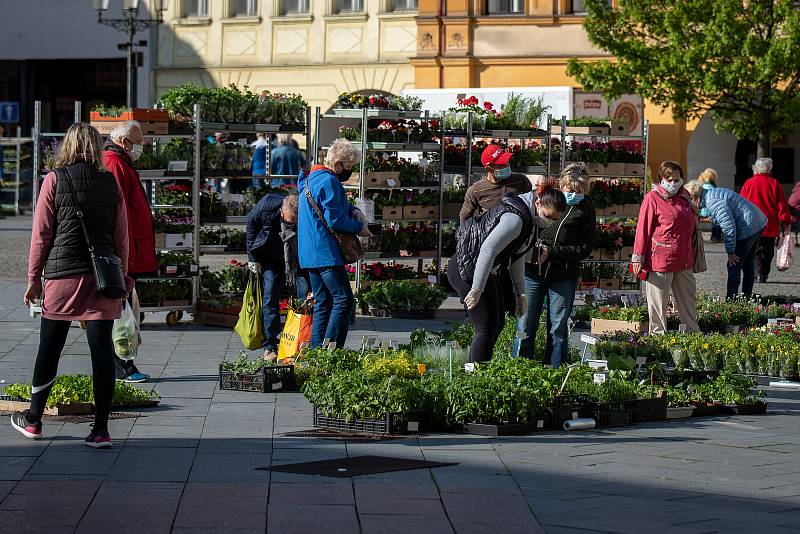 Farmářské trhy na místeckém náměstí Svobody, 7. května 2020 ve Frýdku-Místku.