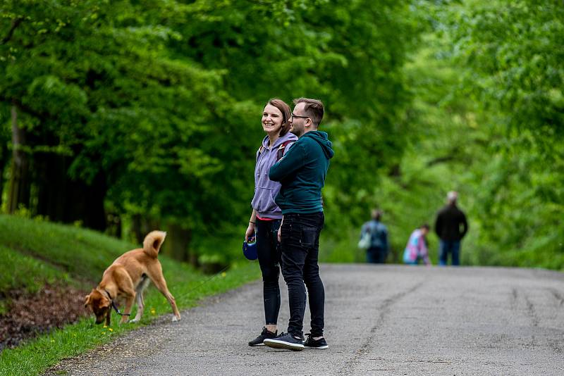 Pěkné počasí přilákalo do obory a na hrad Hukvaldy mnoho návštěvníků. Samotný hrad a jeho okolí využili i filmaři, kteří zde natáčeli historický film, 15. května 2021 Hukvaldy.