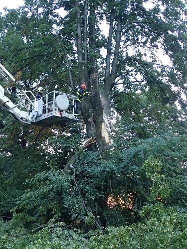 Odstraňování větve z elektrického vedení ve Vyšních Lhotách. 