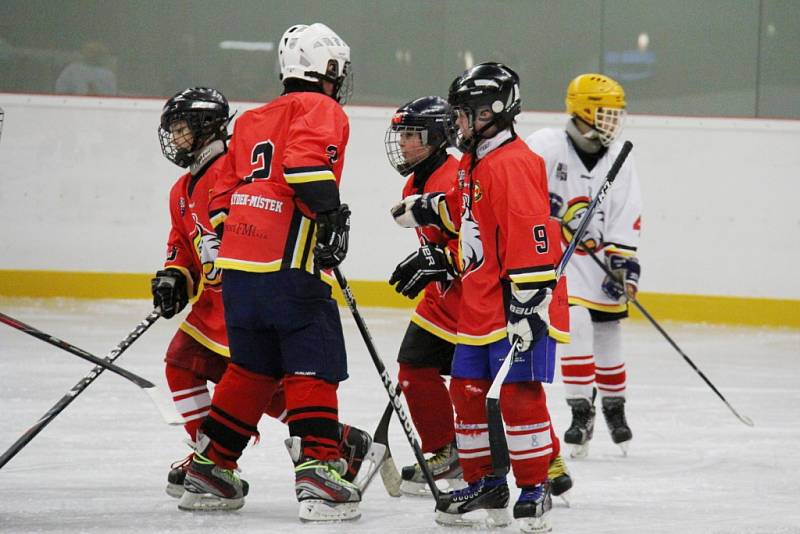 Slavnostnímu otevření nové sportovní haly Polárka předcházelo představení žáčků místního hokejového klubu HC Frýdek-Místek. 