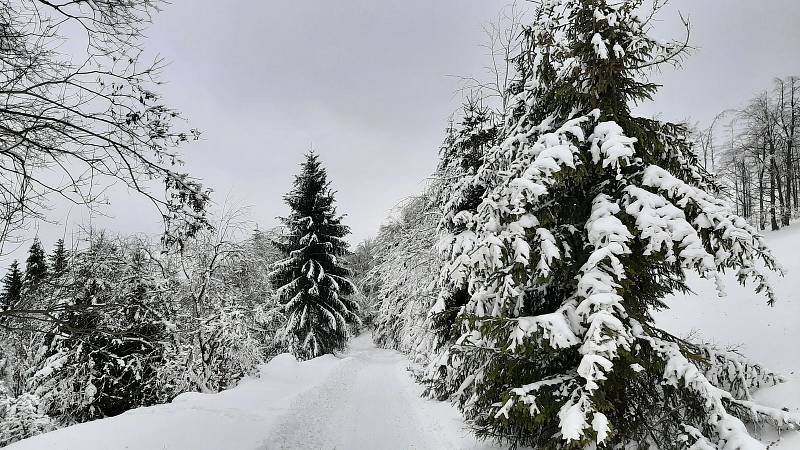 Snímky z výletu na Kamenitý, Horský hotel Kozubová a sjezdovka Armáda v Dolní Lomné.