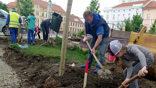 Oslaví 30 let svobody. Ve Velkém Meziříčí vysadí u křižovatky tři stromy